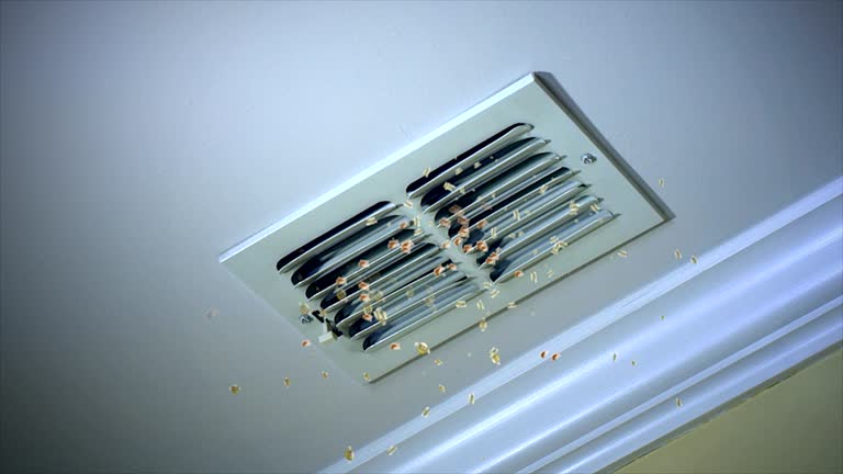 Best HVAC Maintenance and Cleaning  in Olympia, SC