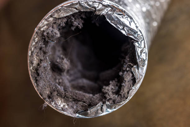 Best Residential Air Duct Cleaning  in Olympia, SC